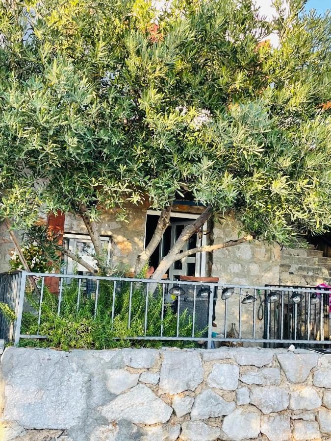 Kuca Za Odmor “dida” Hébergement de vacances Stinica