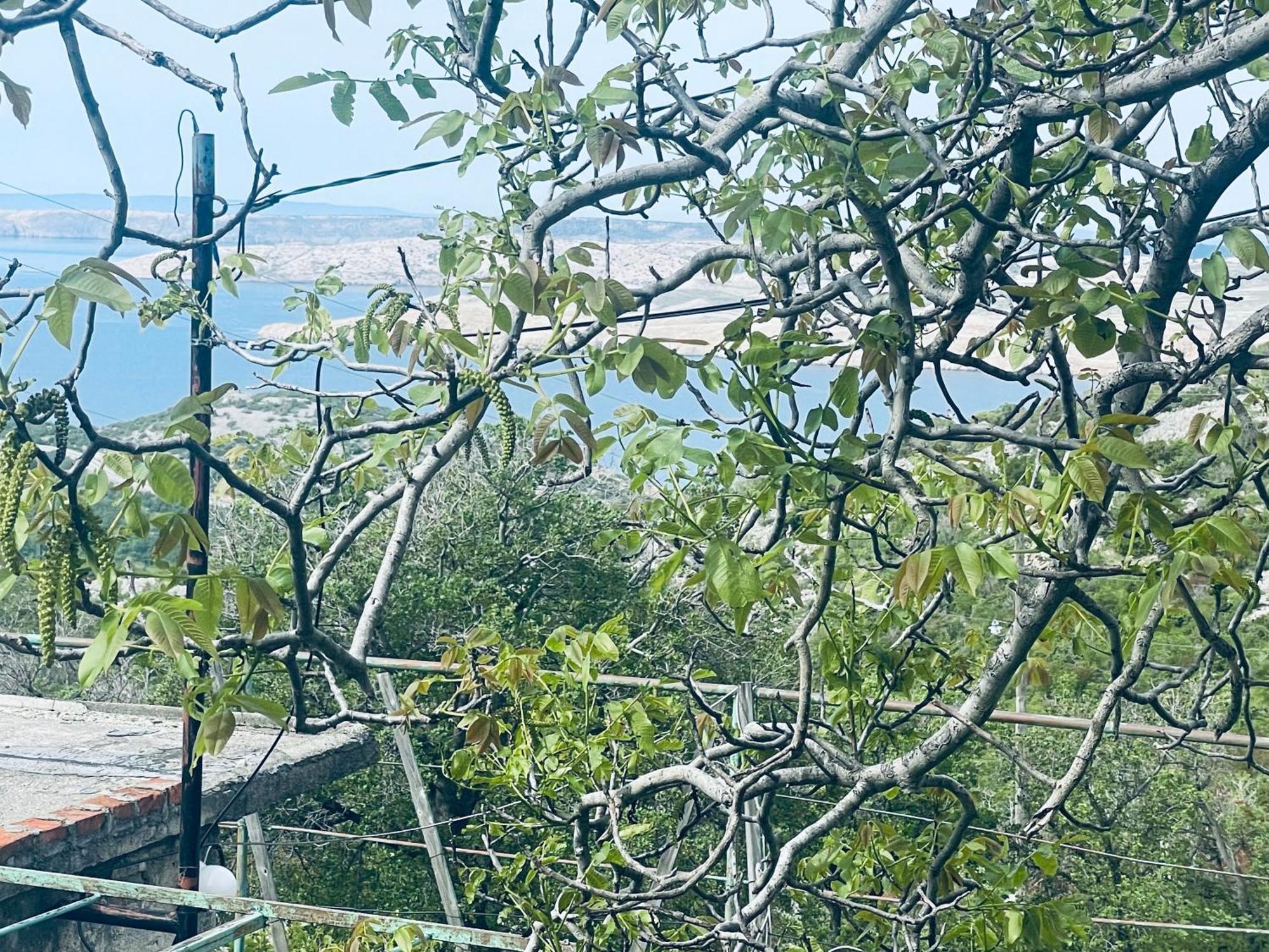 Hébergement de vacances Kuca Za Odmor “dida”